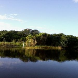 Meet your Posher, Grady